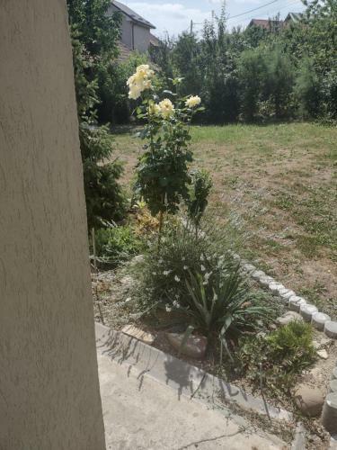 Villa Stone House Next To Cluj-napoca