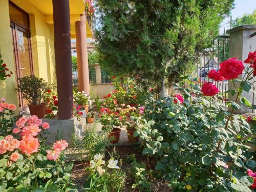 Hostal Casa Di Madi