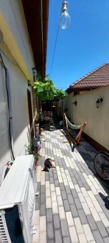 Hostal Casa Bianca Si Andrei
