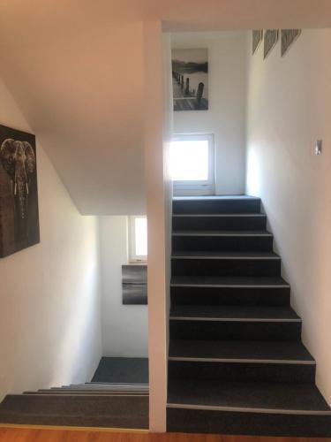 Apartamento Privat Nika 246