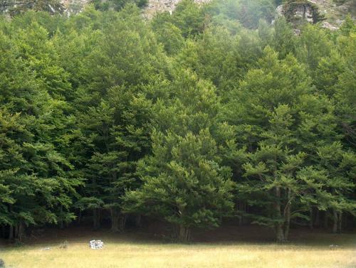 Bed & Breakfast Il Belvedere