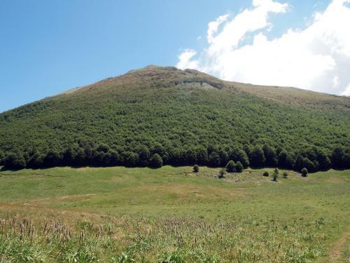 Bed & Breakfast Il Belvedere