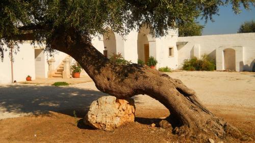 Agroturismo Masseria De Michele
