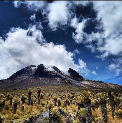 Finca Agroturistica La Reconexi�n