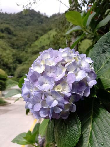 Finca Agroturistica La Reconexi�n