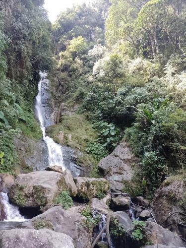Finca Agroturistica La Reconexi�n