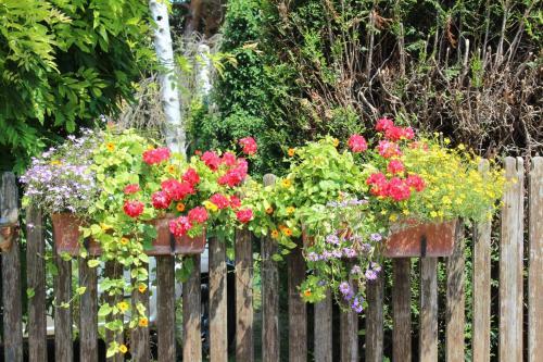 Bed & Breakfast La T�te Dans Les Etoiles