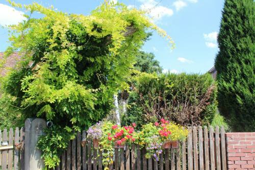 Bed & Breakfast La T�te Dans Les Etoiles