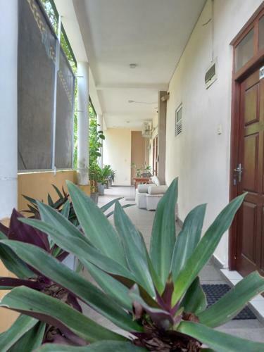Hotel New Golden Bay