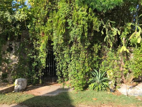 Tropical Cenote Loft North City 420