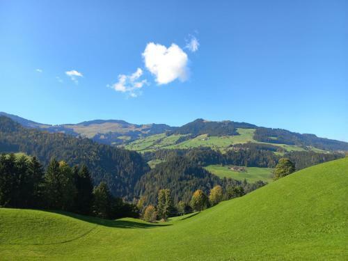 Agroturismo Bergappartement Kink
