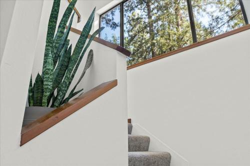 Guerneville Escape Redwoods Deck Bbq Fire Table