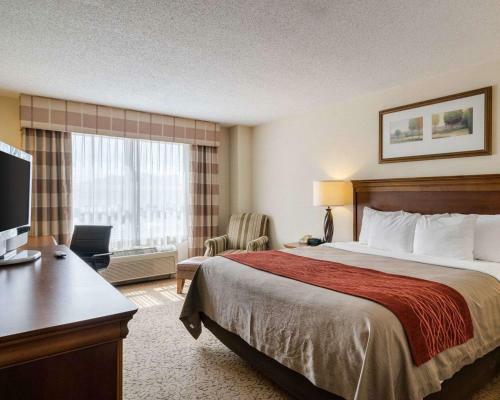 Hotel Comfort Inn & Suites Dover