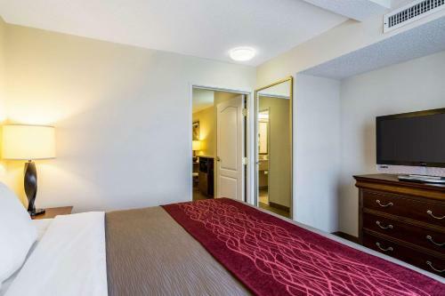 Hotel Comfort Inn & Suites Dover
