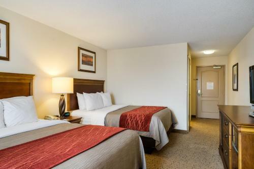 Hotel Comfort Inn & Suites Dover