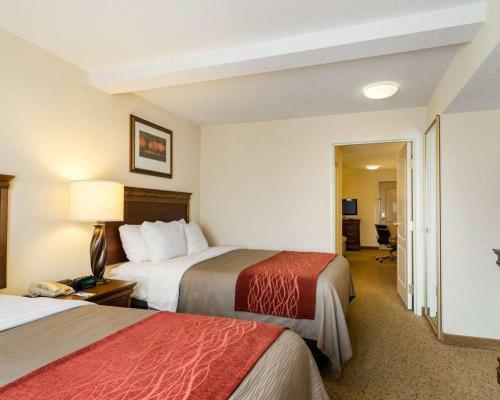 Hotel Comfort Inn & Suites Dover