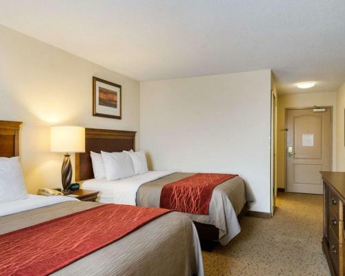 Hotel Comfort Inn & Suites Dover