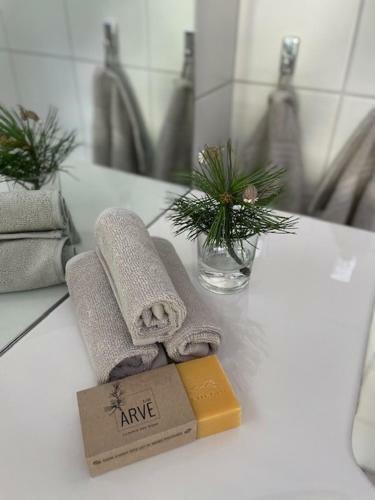 Apartamento Penthouse Judith