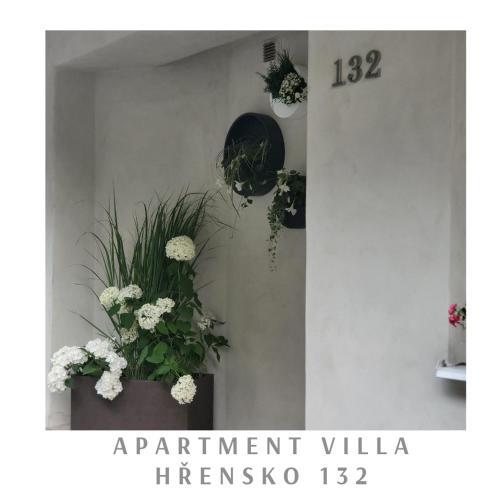 Apartment Villa H?ensko 132