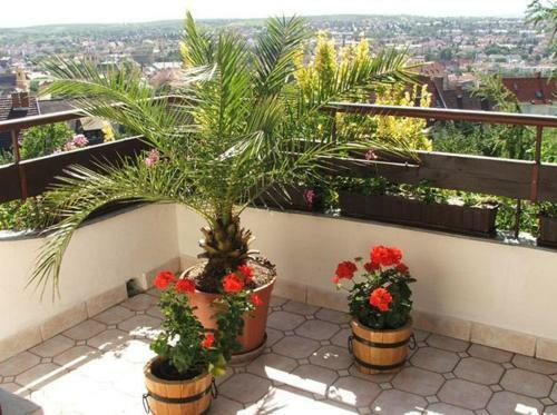 Ferienhaus Apartmanh�z Zal�nki