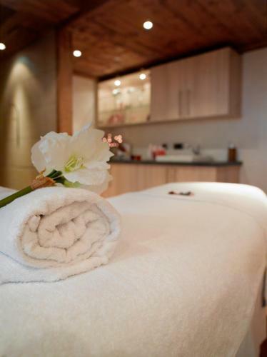 Aparthotel Residence Cgh Les Fermes De Ste Foy