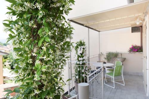 Apartamento Residenza Belmare