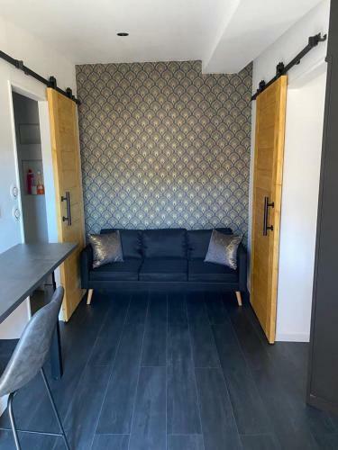 Apartamento Studio Meubl� Quartier Carnot