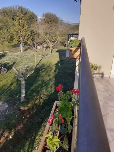 Apartamento Ioannina Cozy Retreat