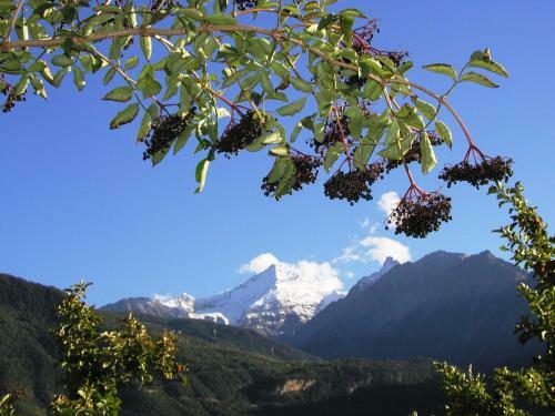 Bed & Breakfast Affittacamere Verger Plein Soleil