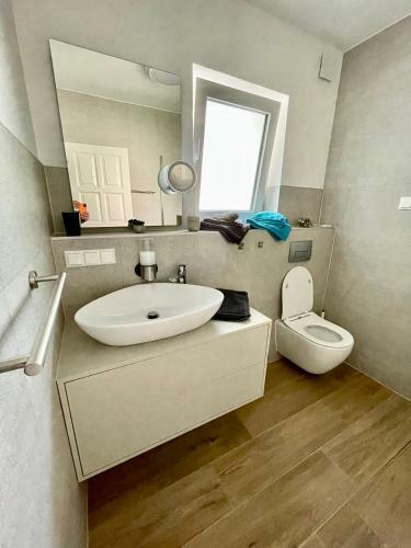 Modern And Stylish Apartments