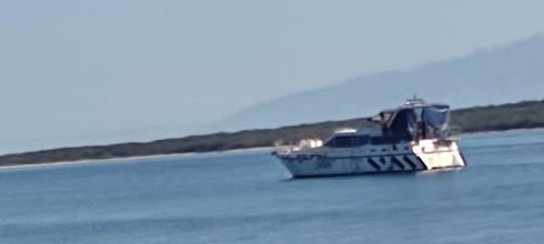 Pegazus