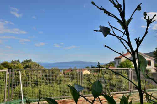 Apartment With Terrace And Sea View 2