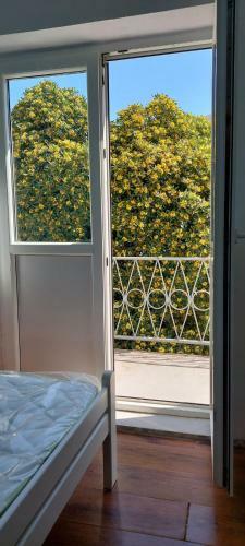 Apartmani Tramontana