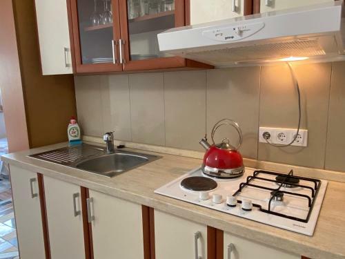Olive Tree Apartment At Villa Mia In Novalja