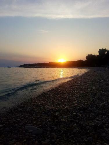 Apartment Gajac