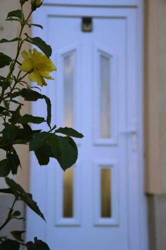 Apartamento A12 Home S�rv�r