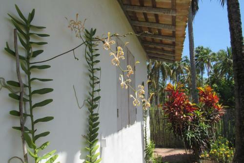 Bed & Breakfast Pousada Villages