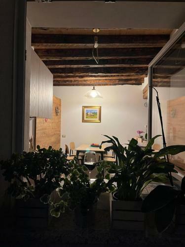 Apartamento Cozy Tiny Flat In Cadore Dolomiti