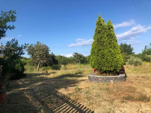 Villetta Due Palme