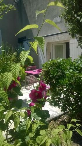 Apartamento R�sidence Les Platanes