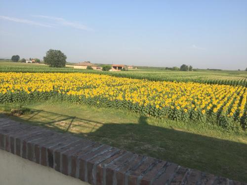 Agroturismo Il Murello