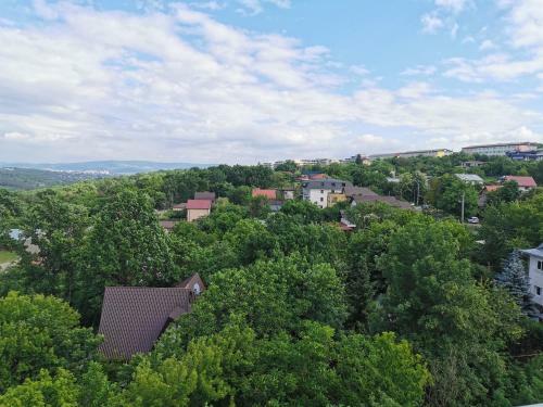 Apartament Regim Hotelier Copou