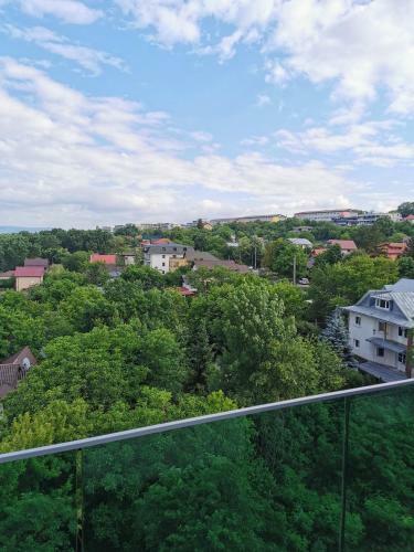 Apartament Regim Hotelier Copou