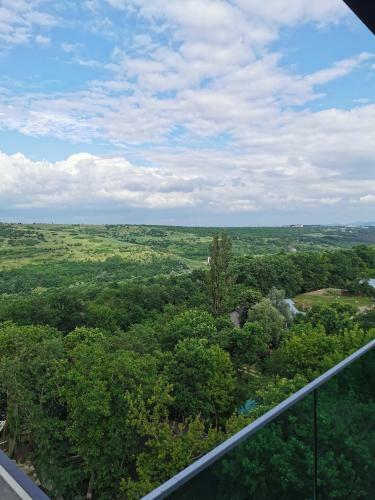 Apartament Regim Hotelier Copou