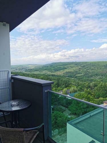 Apartament Regim Hotelier Copou