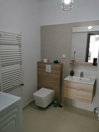 Apartament Regim Hotelier Copou