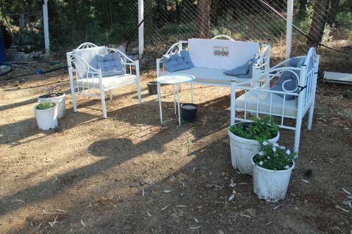 Bed & Breakfast Comfy Apart Surrounded By Nature In Kusadasi