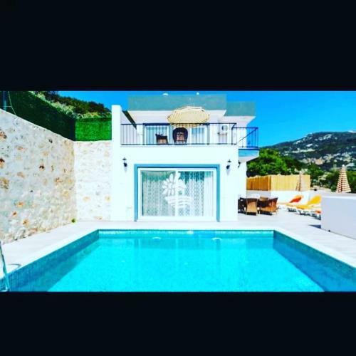 Villa T�lip