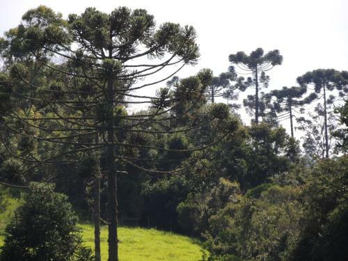 Paiol - T� Na Ro�a - Junto � Natureza!!!