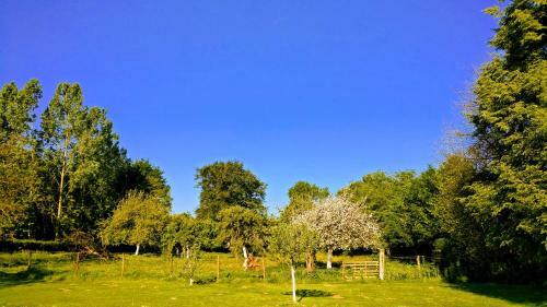 Bed & Breakfast Les Chambres De Pascaline